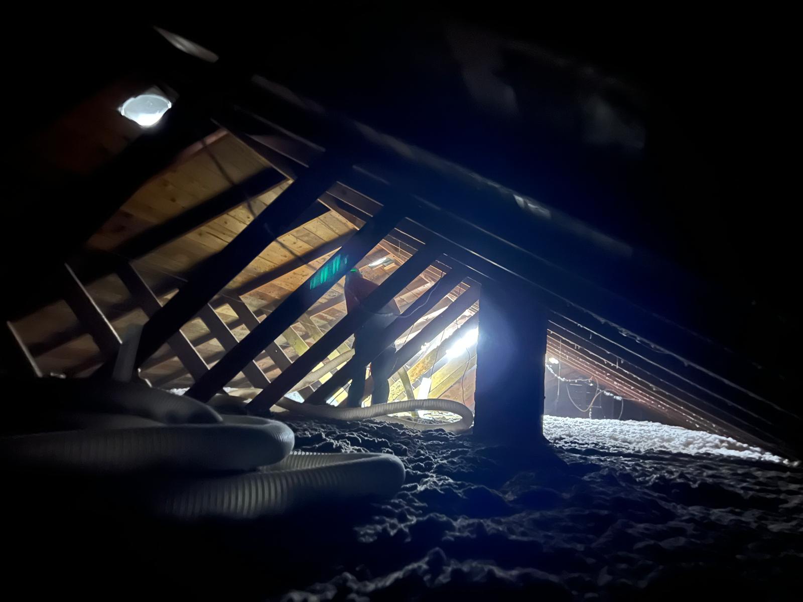 The Ultimate Guide to Basement Insulation: Comfort, Efficiency, and Protection