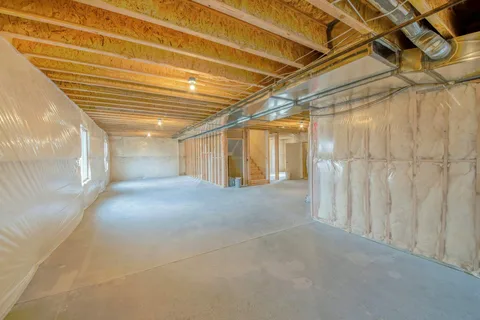 Basement Insulation